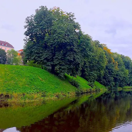Adamsoni * Tallinn